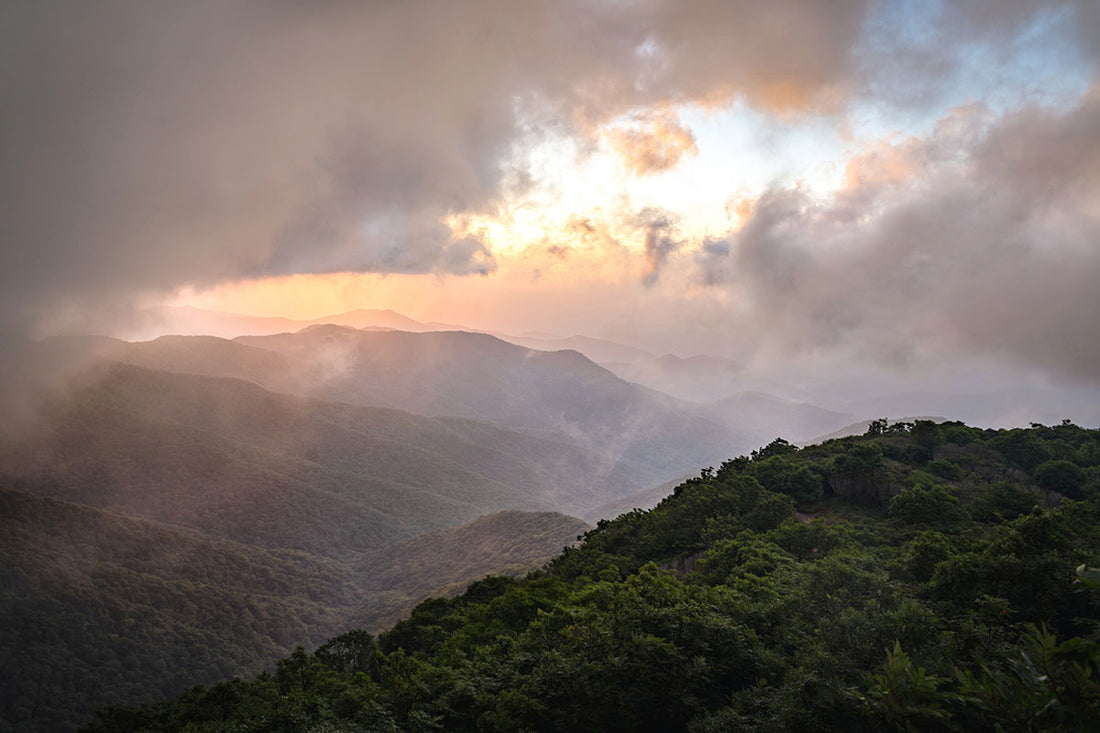 hiking and specialty coffee north wilkesboro, nc