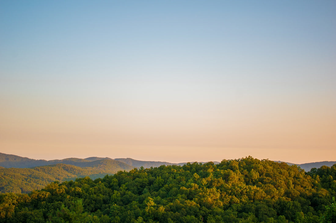 5 Things To Do Next Race Day in Wilkes County