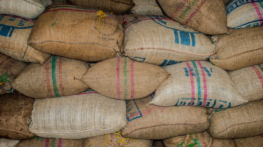 Where To Find Specialty Coffee