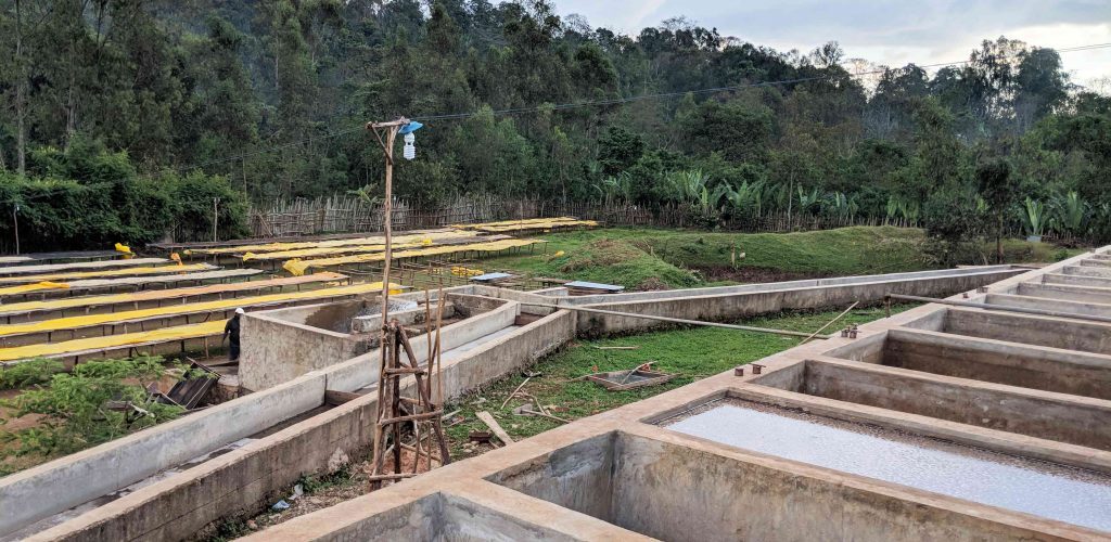 Ethiopia Koke - Single Origin - Honey Process