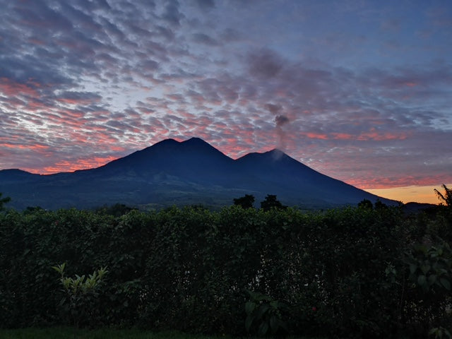 Guatemala Monte De Oro, a new partnership!