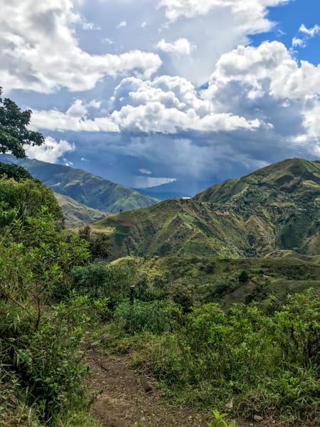 Aponte Village Honey - Single Origin - Colombia